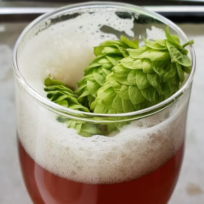 The Home Brew Network Profile