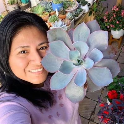 Ivet Suculentas Y Mas Profile