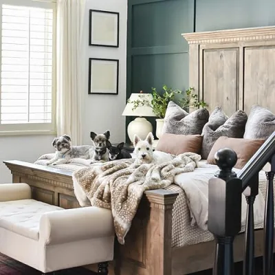 Ashley Nicole Interiors