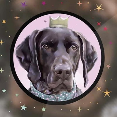 Breezy Meadow Pointers Profile