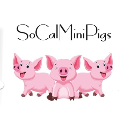 SoCalMiniPigs Recommendations for your mini pig! Profile
