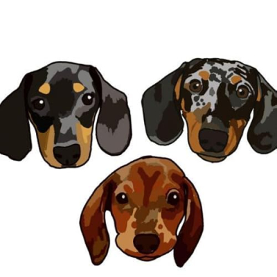 THE JUAREZ DACHSHUND favorite’s Profile