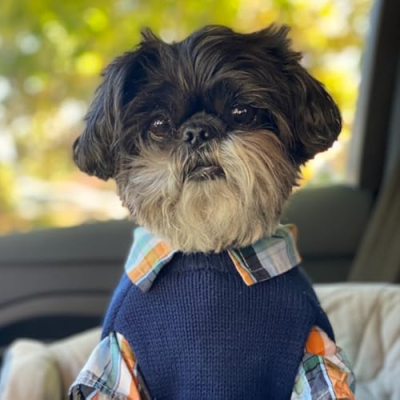 Shop with Oliver Profile