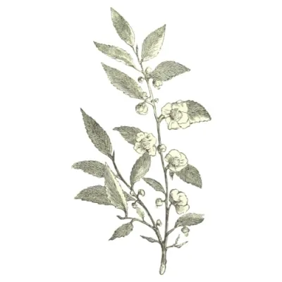 Ashley Felts - A few of my favorite things!