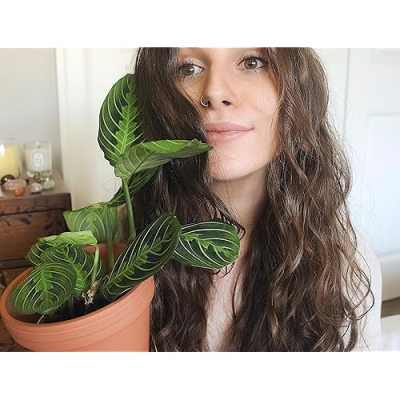 Sedona Christina Profile