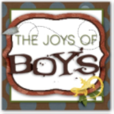 The Joys of Boys Profile