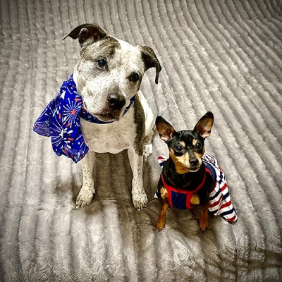 Raven & FeeFee’s Favs Profile