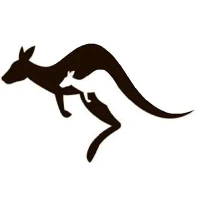 Joyful Kangaroo