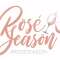 Rose All Day by Rose Season Profile