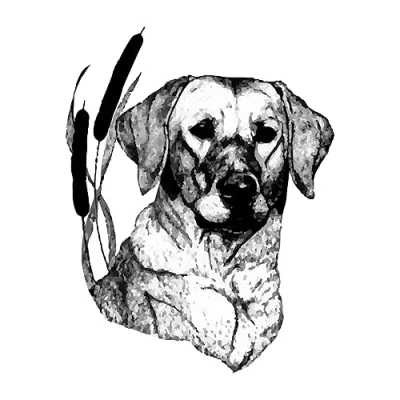 Beaver Creek Kennels