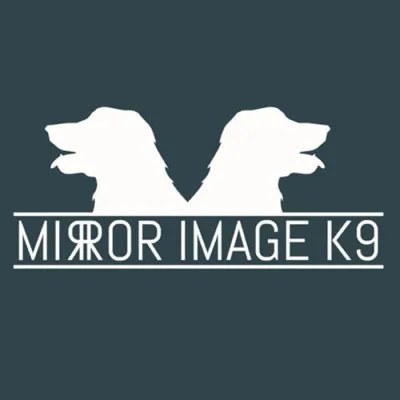 Mirror Image K9