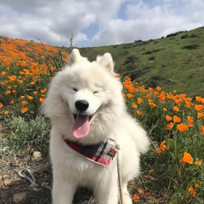 Boomer favorites Profile