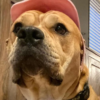 Tinker Morgan Profile