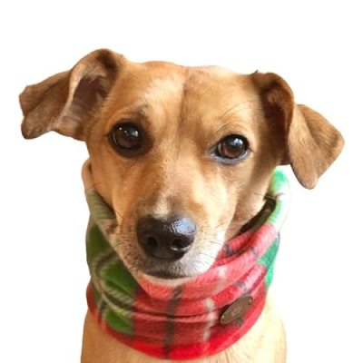 Pippa’s Picks Profile