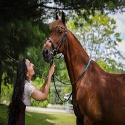 Funsizedequestrian's Suggested Items! Profile