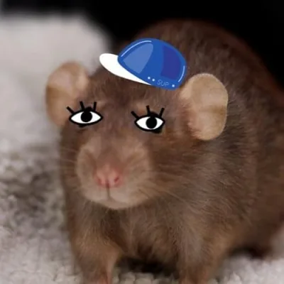 Rat Approved Rat Products