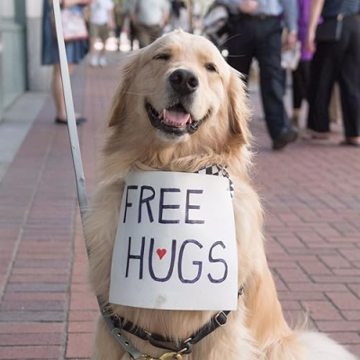 Scout, Archie and Dog Moms Pawtastic picks! Profile