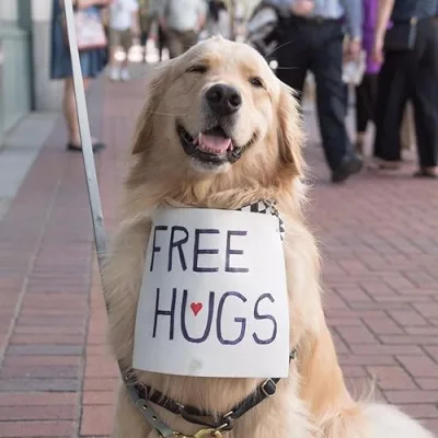 Scout, Archie and Dog Moms Pawtastic picks!