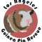 Los Angeles Guinea Pig Rescue