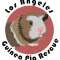 Los Angeles Guinea Pig Rescue