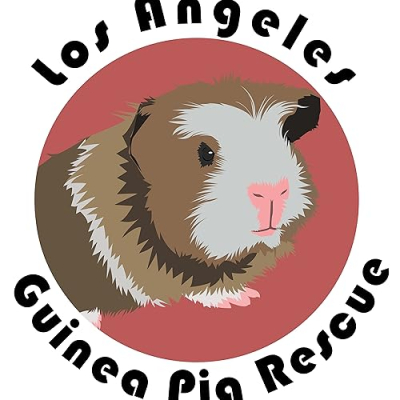Los Angeles Guinea Pig Rescue Profile