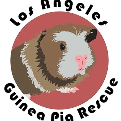 Los Angeles Guinea Pig Rescue