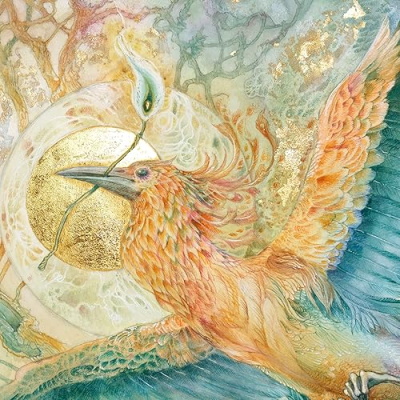 Shadowscapes Profile