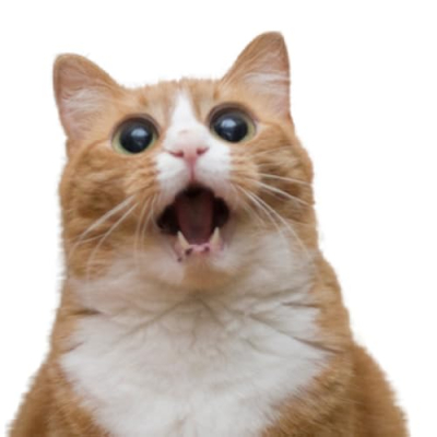 Shop.Shell.Belle Profile