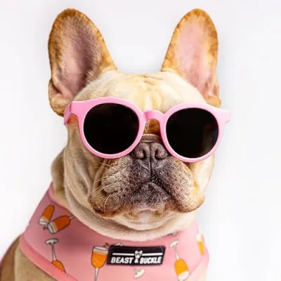 On The Go Frenchies Shop