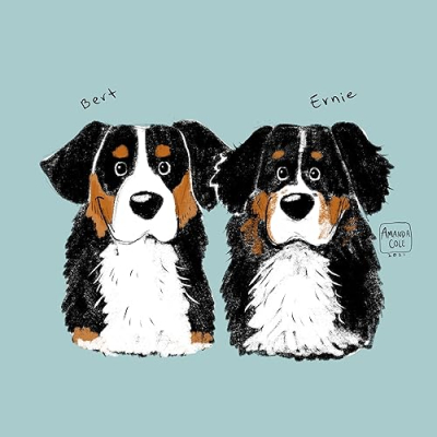 Bert and Ernie the Berners Profile