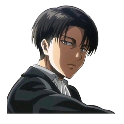 Levi Ackerman Profile