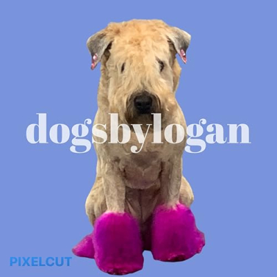 dogsbylogan Profile