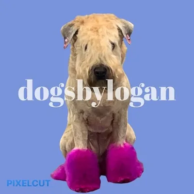 dogsbylogan