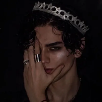 @The.Cruel.Prince Amazon Favorites