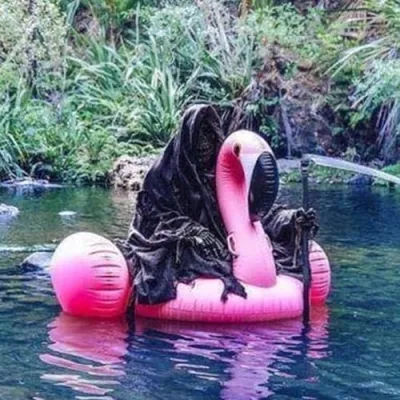 SHANNY TESTED AND APPROVED!