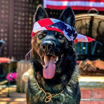 Automatic Uzi Profile