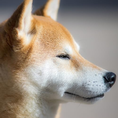 Always Be Frugal & Fooding with John Clark Profile