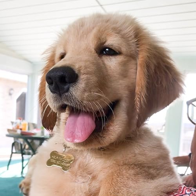 Tucker Budzyn Profile