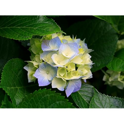 Clothing, Shoes & Jewelry best sellers Profile