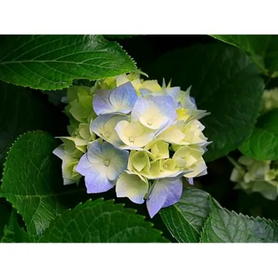 Clothing, Shoes & Jewelry best sellers