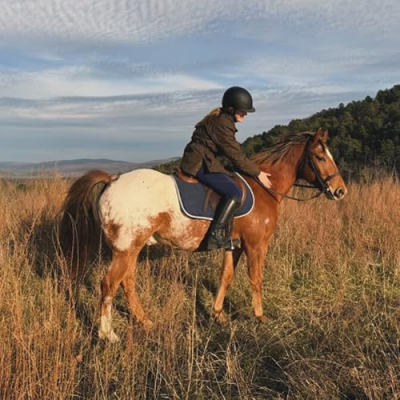 Equine Helper Amazon Storefront Profile
