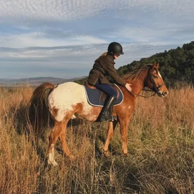 Equine Helper Amazon Storefront