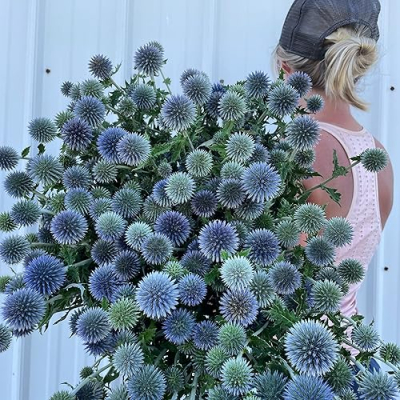 Iron Meadows Flower Farm Profile