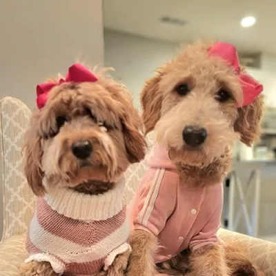 Scarlet & Philippa von Fluffington