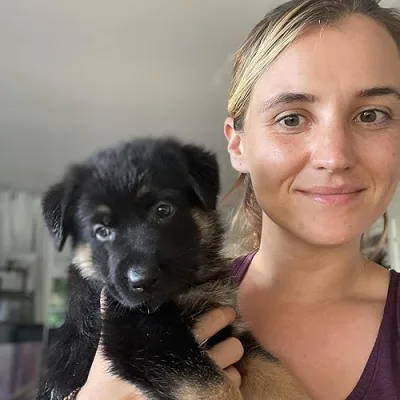 Oahu German Shepherds