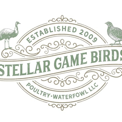 Stellar Game Birds, Poultry, Waterfowl LLC Profile