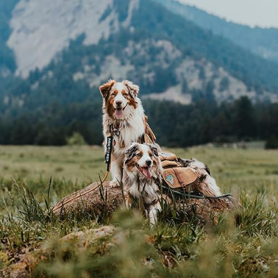 Toni + Apollo & Ares | East Coast Adventure Aussies Profile