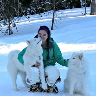 Habits of a Modern Hippie