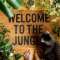 Jungle Home favourites