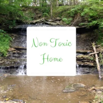 Non Toxic Home